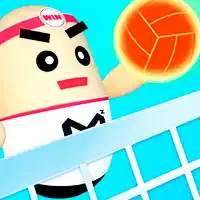 3d_amazing_volleyball ゲーム
