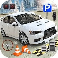 advance_car_parking_simulation Pelit