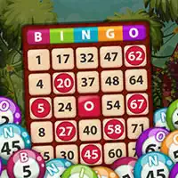 Bingo Koning