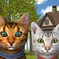 cat_simulator_online เกม