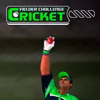 क्रिकेट क्षेत्ररक्षक चुनौती खेल