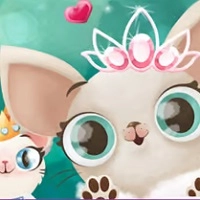 hollywood_fashion_pets เกม