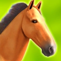 horse_run_3d Ойындар