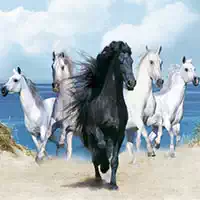 horses_puzzle Jogos