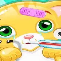 Game Dokter Hewan Peliharaan Dokter Kucing Kecil