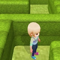 maze_escape_3d खेल