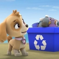 paw_patrol_beach_cleaning ເກມ