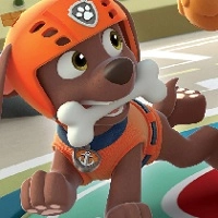 paw_patrol_zuma રમતો