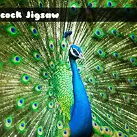 peacock_jigsaw ألعاب