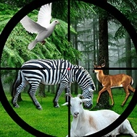 real_jungle_animals_hunting 游戏