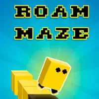 roam_maze เกม