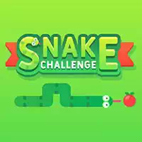 snake_challenge เกม