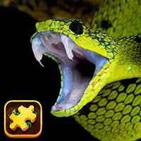 Snake Puzzle Challenge