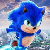 sonic_the_hedgehog 游戏