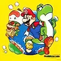 Super Mario Bros 2 Player Co-Op Quest