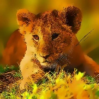 wild_baby_animals_jigsaw بازی ها