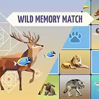 wild_memory 游戏