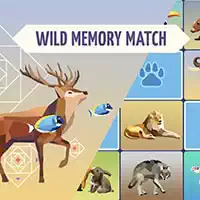 wild_memory гульні