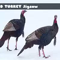 wild_turkey_jigsaw O'yinlar