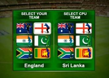 Cricket Fielder Challenge Game játék képernyőképe