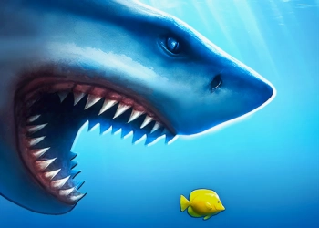 មេហ្គាសាស្រ្ត រូបថតអេក្រង់ហ្គេម